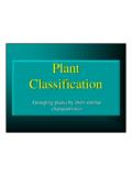 Plant Classification - Seneca High School