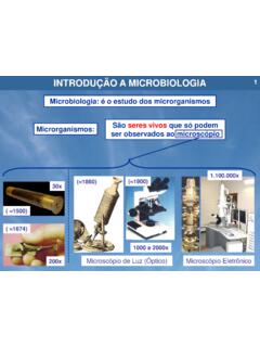 Microbiologia: &#233; o estudo dos microrganismos ...