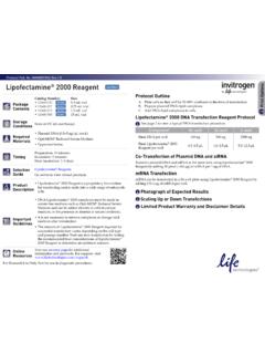 Lipofectamine&#174; 2000 Reagent - Thermo Fisher Scientific