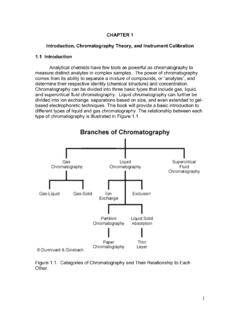 CHAPTER 1 Introduction, Chromatography Theory, and ...