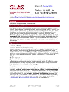 Sodium Hypochlorite ENVIRONMENT, SAFETY, HEALTH, AND ...