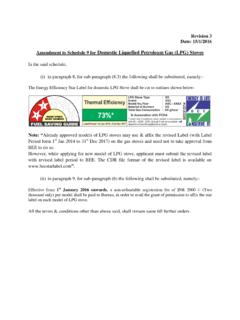 The Energy Efficiency Star Label for domestic LPG Stove ...