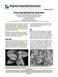 Publication Trees and Shrubs for Acid Soils - Virginia Tech
