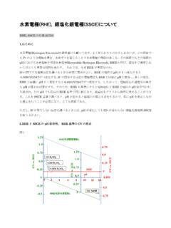 水素電極(RHE), 銀塩化銀電極(SSCE) - navida.ne.jp
