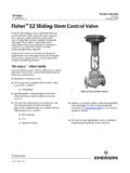 Fisher EZ Sliding Stem Control Valve - Emerson Electric