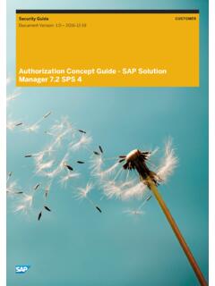 Authorization Concept Guide - SAP Solution Manager 7.2 …