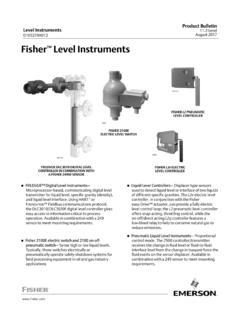 Product Bulletin Level Instruments November 2020 Fisher ...