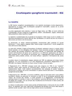 Encefalopatie spongiformi trasmissibili - BSE
