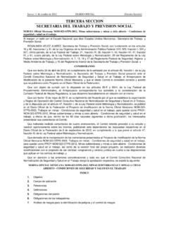 Norma Oficial Mexicana NOM-023-STPS-2012 - …