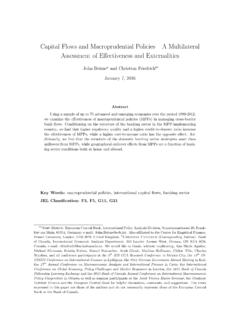 Capital Flows and Macroprudential ... - Systemic Risk Centre