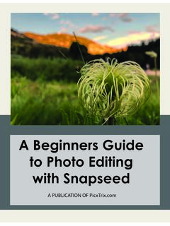 A Beginners Guide to Photo Editing with Snapseed - PicxTrix