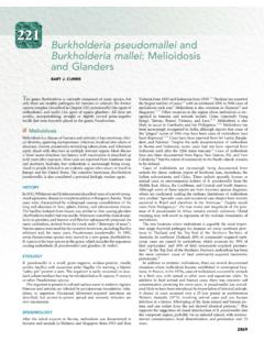 Burkholderia pseudomallei and Burkholderia mallei ...