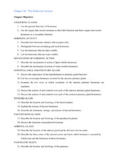 review sheet exercise 18 functional anatomy of the endocrine glands