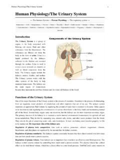 Human Physiology/The Urinary System