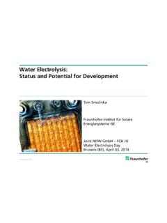 Water Electrolysis: Status and Potential for Development