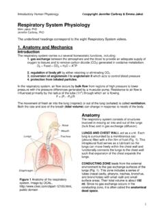 Respiratory System Physiology - Duke University