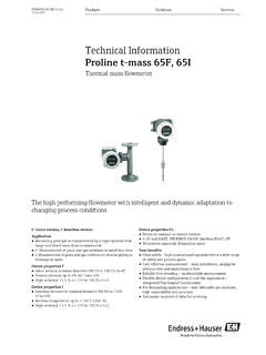 Technical Information Proline t-mass 65F, 65I