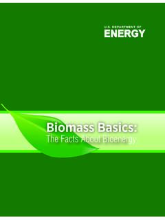 Biomass Basics: The Facts About Bioenergy