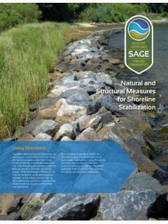 Natural and Structural Measures for Shoreline Stabilization