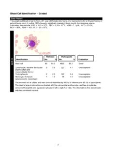 Blood Cell Identification Graded