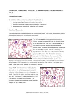 Blood Cell ID - Identifying Immature and …