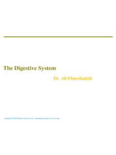 The Digestive System - Los Angeles Mission College