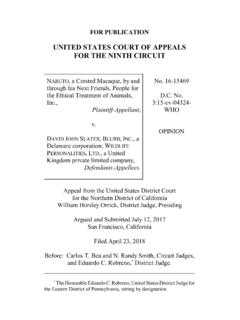 UNITED STATES COURT OF APPEALS FOR THE …