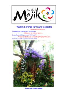 Thailand orchid farm and exporter