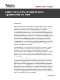 ESG in the Insurance Sector: Growth, Opportunities and Risks