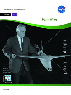 Principles of Flight: Foam Wing (Grades K-12)