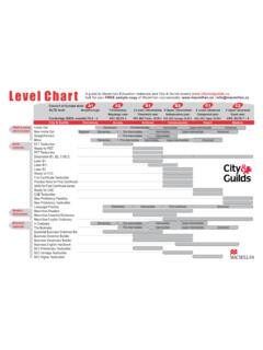 Level Chart - Macmillan
