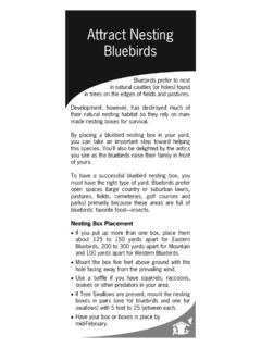 Attract Nesting Bluebirds - Wild Birds Unlimited