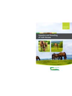 Genetics and Breeding of Irish Horses
