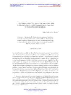 LA TUTELA CONSTITUCIONAL DE LOS DERECHOS ... - UNAM