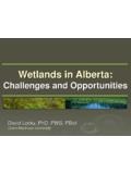 Wetlands in Alberta - capf.ca