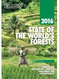STATE OF THE WORLD’S FORESTS