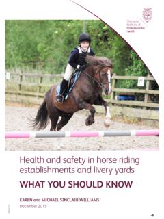 Health and safety in horse riding establishments and ...