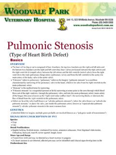Pulmonic Stenosis - Woodvale Park Veterinary Hospital