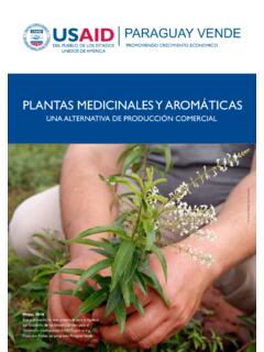 PLANTAS MEDICINALES Y AROM&#193;TICAS