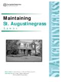 Maintaining St. Augustinegrass