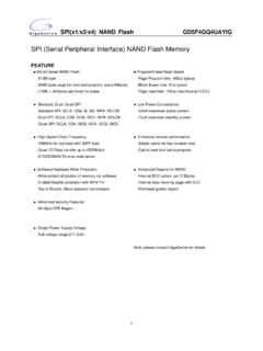 SPI (Serial Peripheral Interface) NAND Flash Memory