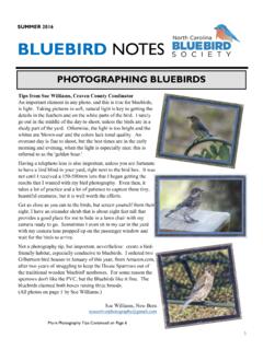 PHOTOGRAPHING BLUEBIRDS - Eastern Bluebird Conservation