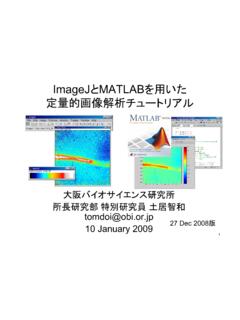 ImageJ とMATLAB を用いた 定量的画像解析チュートリアル