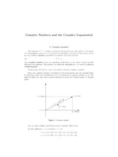 Complex Numbers and the Complex Exponential
