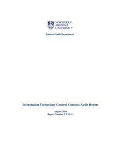 Information Technology General Controls Audit Report