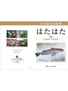 hatahata h1-h4 2 - fish-jfrca.jp