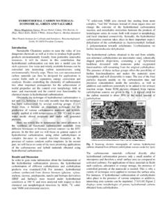 2010: HYDROTHERMAL CARBON MATERIALS- ECONOMICAL, …