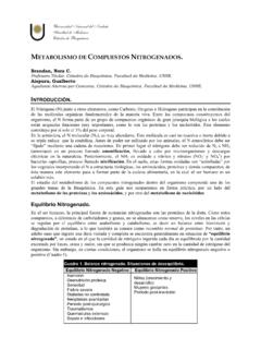 Metabolismo de Compuestos Nitrogenados - UNNE
