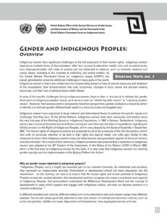 Gender and Indigenous Peoples - Un