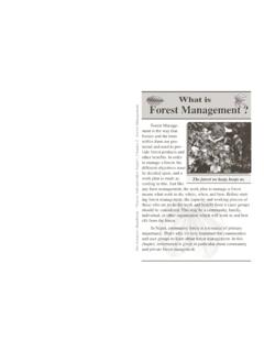 What is Forest Management ? est Management